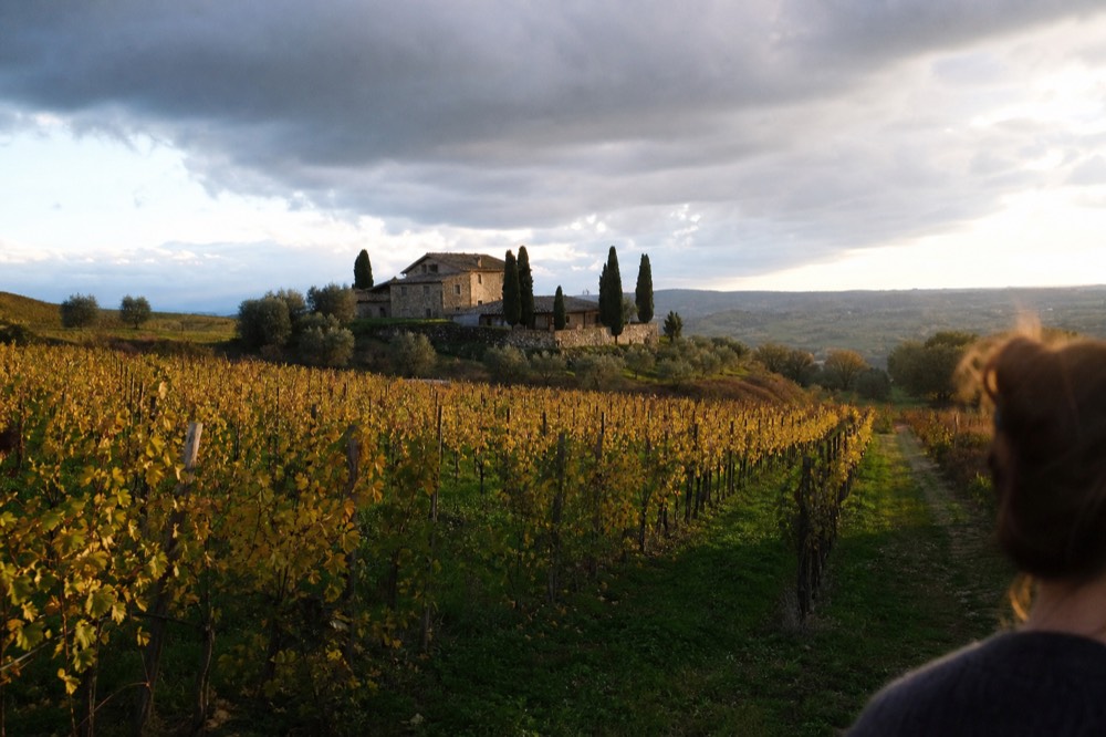 Autumn vineyard rows on a Tuscan slope in low golden light, a stone farmhouse in the middle distance under grey-edged clouds